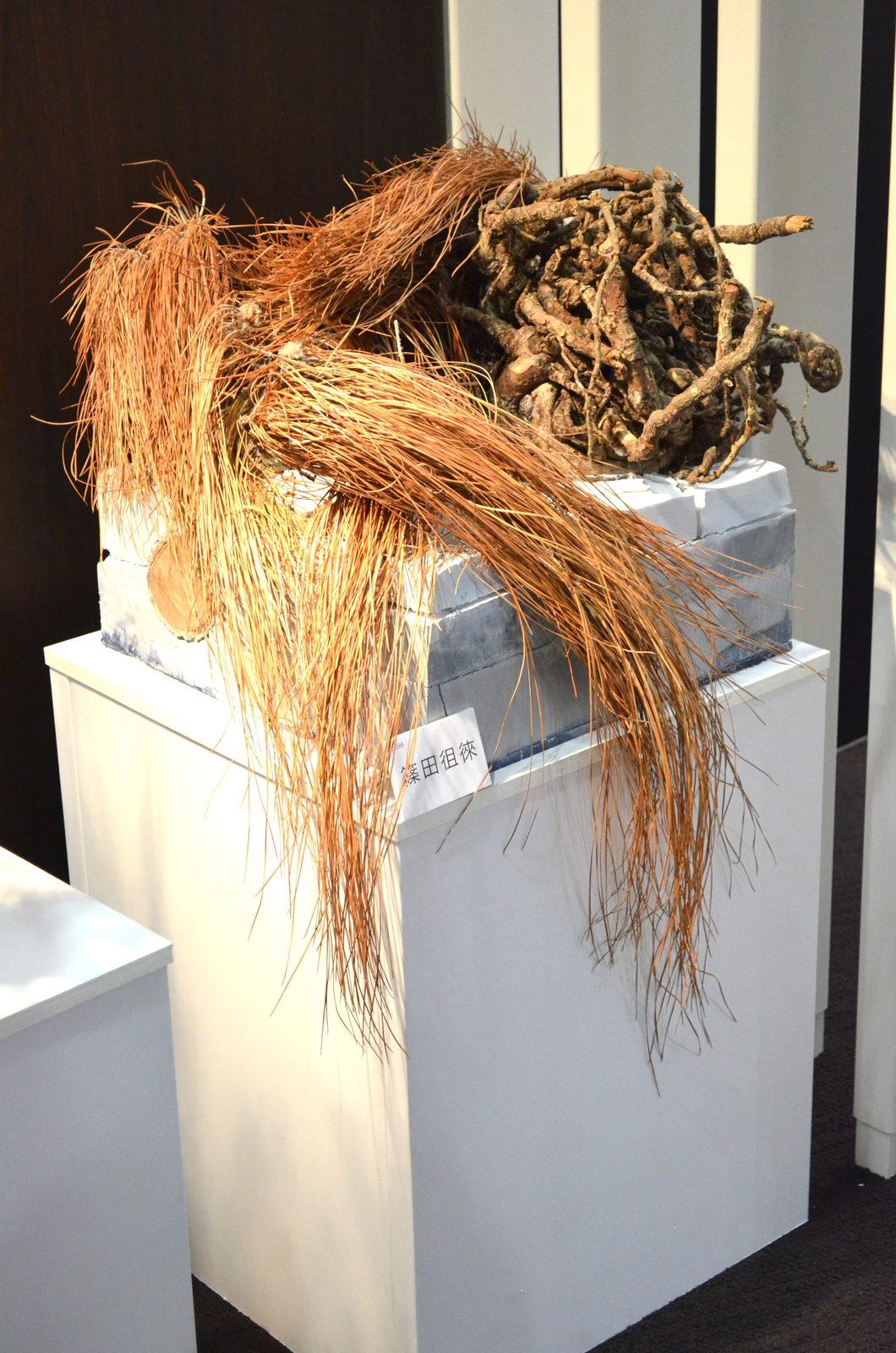 根と松葉を使った龍生派の花展の出品作