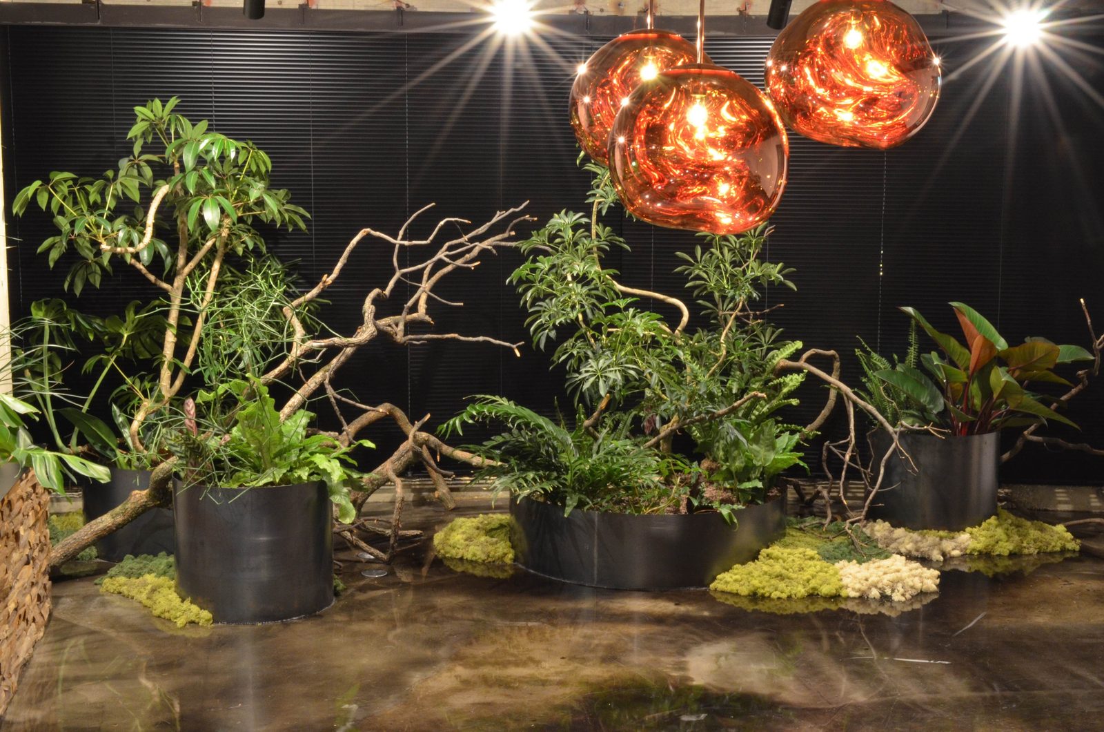 照明の下に流木と鉢植えを並べたオフィスの植栽